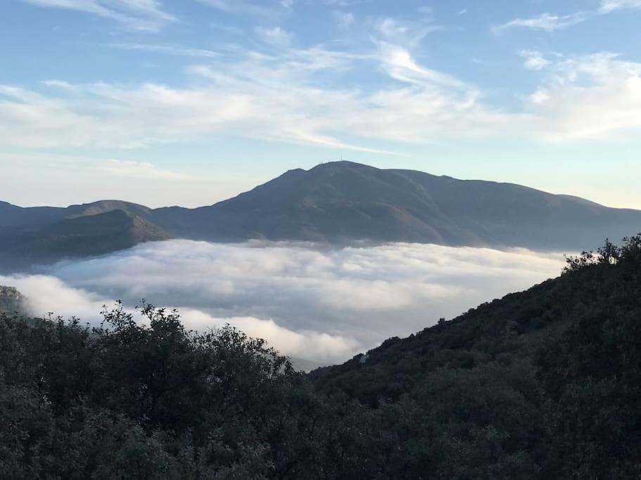 La Casa Rural De Paco Y Ana Pitres المظهر الخارجي الصورة