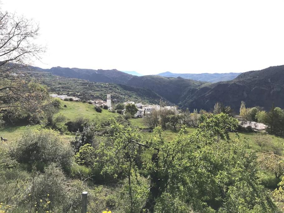La Casa Rural De Paco Y Ana Pitres المظهر الخارجي الصورة