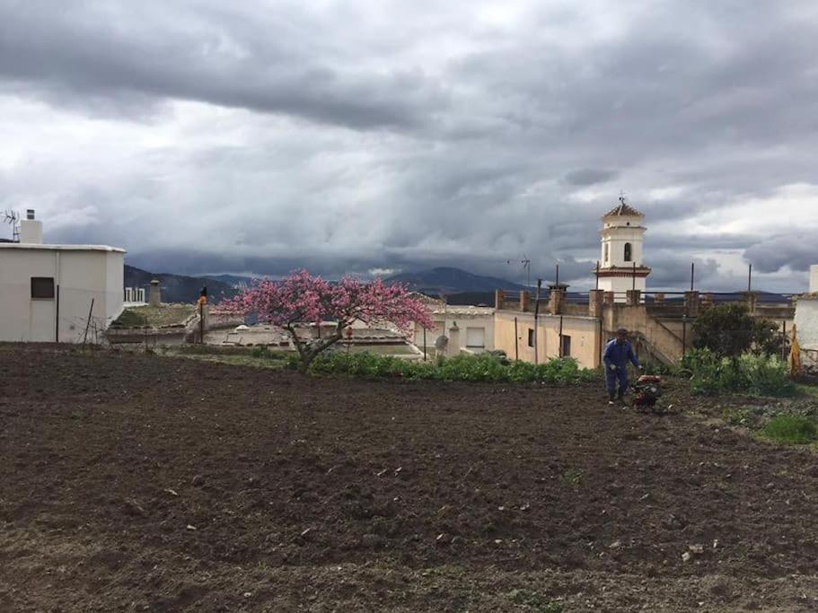 La Casa Rural De Paco Y Ana Pitres المظهر الخارجي الصورة