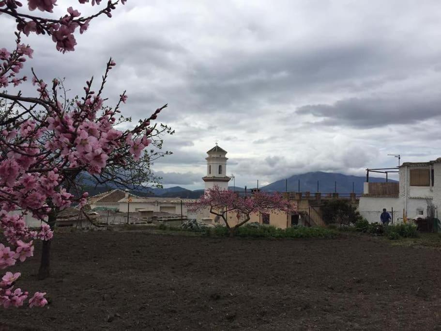 La Casa Rural De Paco Y Ana Pitres المظهر الخارجي الصورة