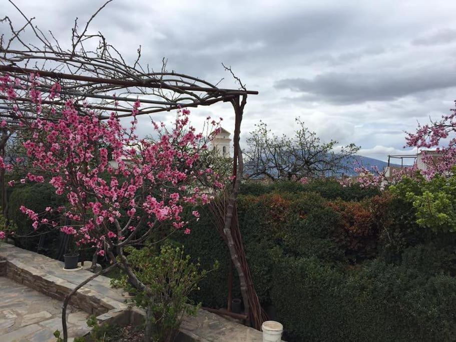 La Casa Rural De Paco Y Ana Pitres المظهر الخارجي الصورة