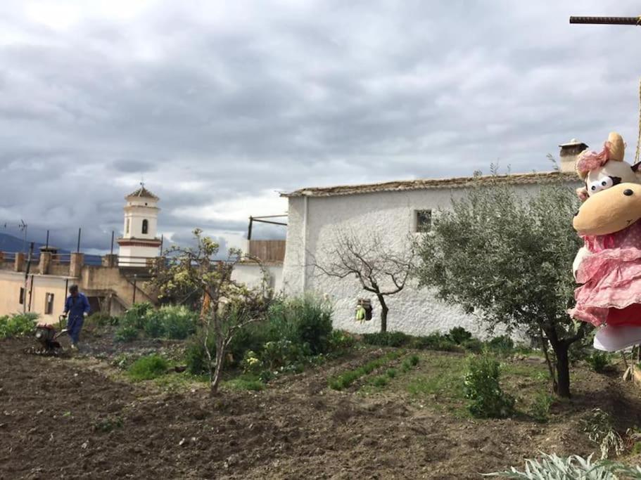La Casa Rural De Paco Y Ana Pitres المظهر الخارجي الصورة