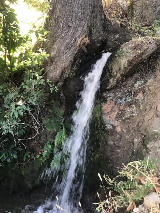 La Casa Rural De Paco Y Ana Pitres المظهر الخارجي الصورة
