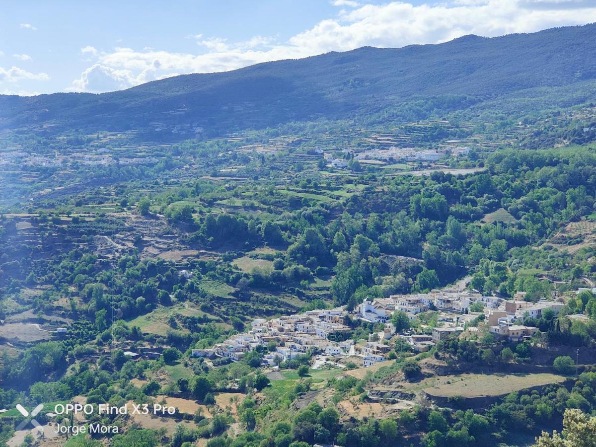 La Casa Rural De Paco Y Ana Pitres المظهر الخارجي الصورة